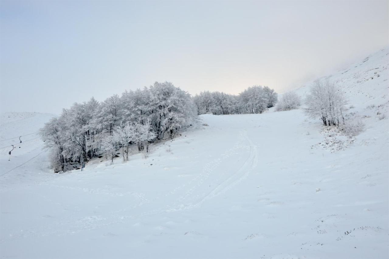 B&B La Genziana ฟอนนิ ภายนอก รูปภาพ